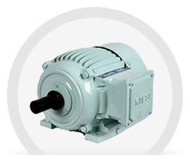 Squirrel Cage Induction Motors