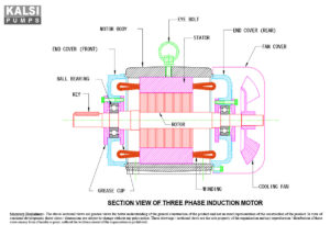 KALSI T.E.F.C. Squirrel Cage Three Phase Energy-efficient Induction Motors